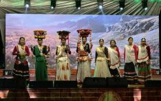 【视频】第三届蓝毗尼国际和平节音乐会:《塔鲁族》文化表演