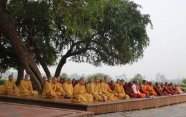 Lumbini Festival Highlights Peace, Harmony, and Mindfulness