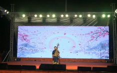 【视频】第三届蓝毗尼国际和平节音乐会:琵琶独奏《春江花月夜》