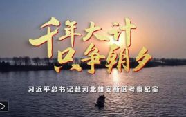 时政微纪录丨千年大计 只争朝夕——习近平总书记赴河北雄安新区考察纪实