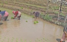 Policy measures in favour of farmers