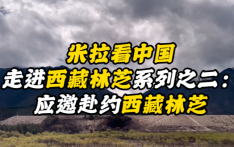 米拉看中国丨走进西藏林芝系列之二：应邀赴约西藏林芝