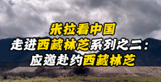 米拉看中国丨走进西藏林芝系列之二：应邀赴约西藏林芝