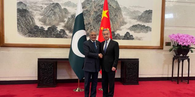 Chinese, Pakistani foreign ministers hold talks on Iran situation