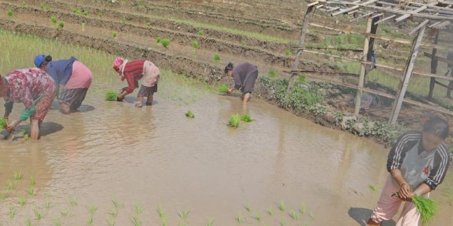 Policy measures in favour of farmers