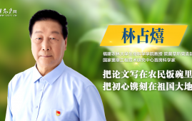 一株菌草跨越山海——中国科学家林占熺的“绿色丝路”实践