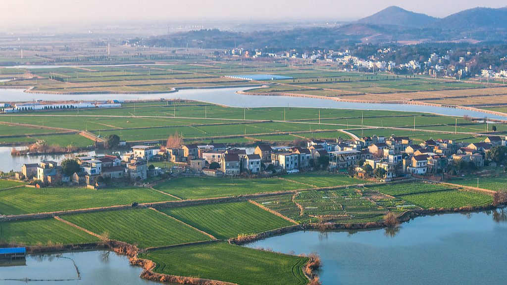 bc45523d62f648398841fcf7d2228435