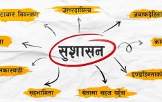 सरकारी निकायमा सुशासन कमजोर