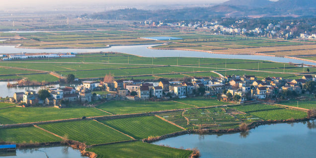 Chinese vice premier calls for further modernization of water networks