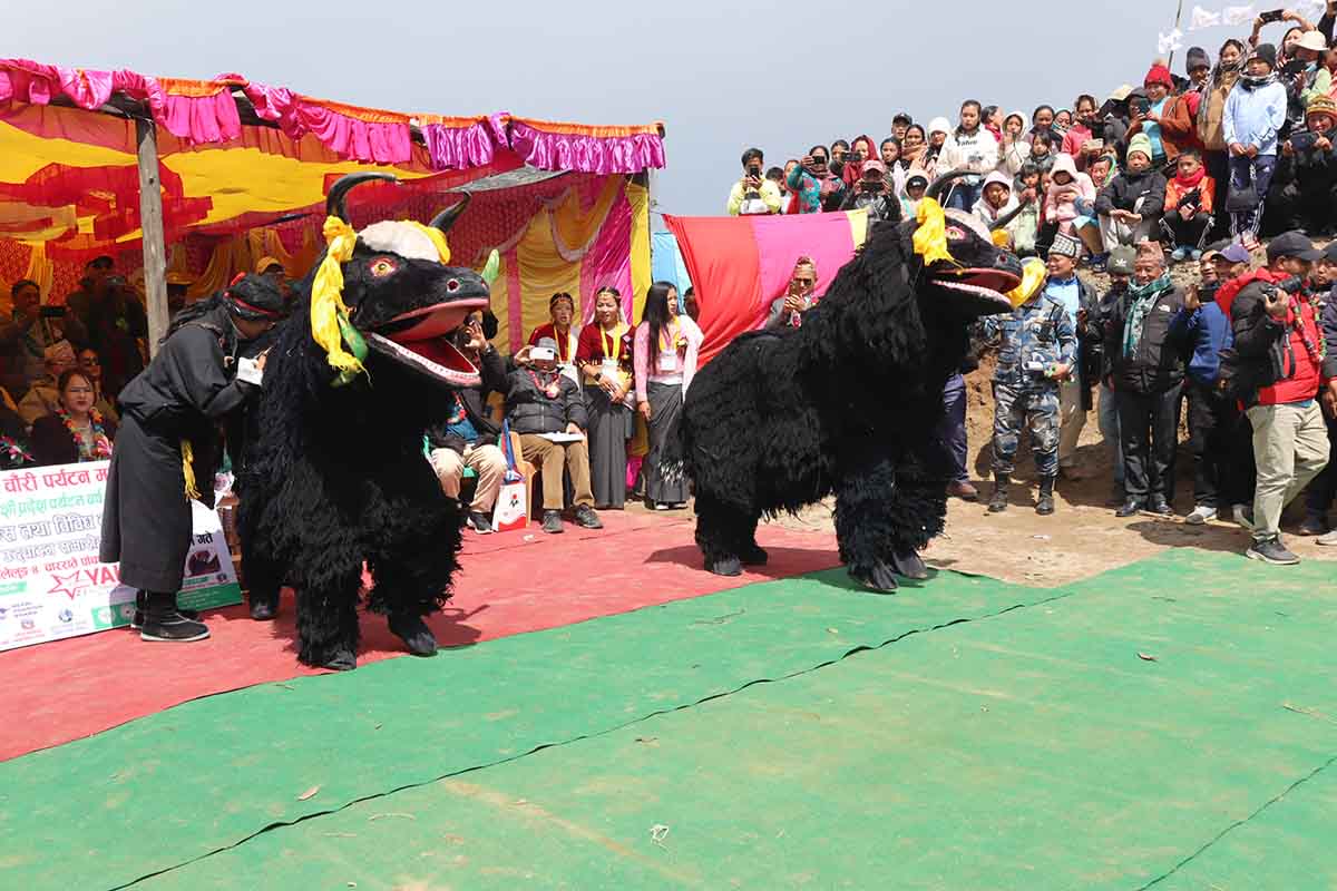 Yak-dance