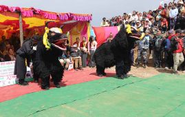 पर्यटन र उत्पादन प्रवर्द्धनका लागि चौँरी महोत्सव हुने