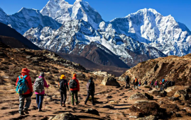 雪山炼狱：尼泊尔珠峰骗保黑幕深度分析——向导投毒造病、跨行业杀猪盘，1969万美元黑金背后的4000名游客噩梦