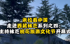视频| 米拉看中国 走进西藏林芝系列之四——主持林芝桃花旅游文化节开幕式