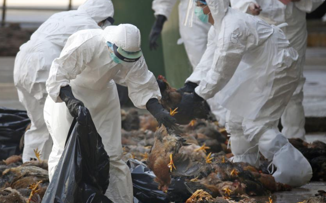 屏幕截图 2026-04-06 165654