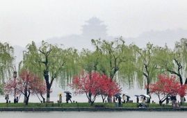 China renews blue alerts for rainstorms, gales