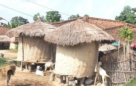 रौतहटको ग्रामीण भेगमा भकारीको प्रयोग अझै यथावत्