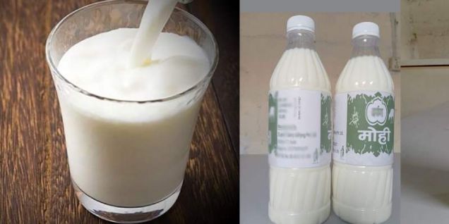 पाँच हजार लिटर मही निःशुल्क वितरण