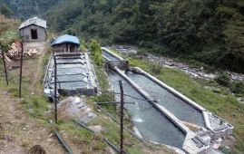 माछापालनमा भविष्य खोज्दै जुम्ली युवा