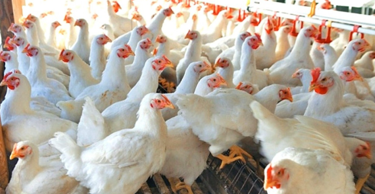 屏幕截图 2026-04-20 134117