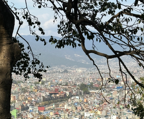 屏幕截图 2026-04-26 165557