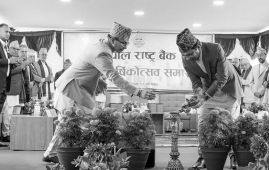 दिगो आर्थिक सुधारका लागि संरचनागत सुधार गर्न सुझाव