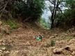 突发| 尼泊尔罗尔帕发生严重车祸 目前死亡人数升至20人