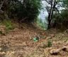 突发| 尼泊尔罗尔帕发生严重车祸 目前死亡人数升至20人