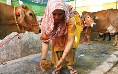 India promotes biogas amid energy crunch